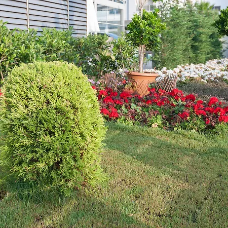 מלון Graf Victor מהמוטלר